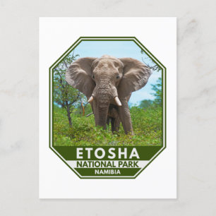 Etosha Nationaal Park Namibië Elephant Waterverf Briefkaart