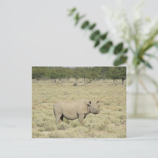 Etosha rhinoceros briefkaart (Staand voorkant)