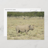 Etosha rhinoceros briefkaart (Voorkant / Achterkant)
