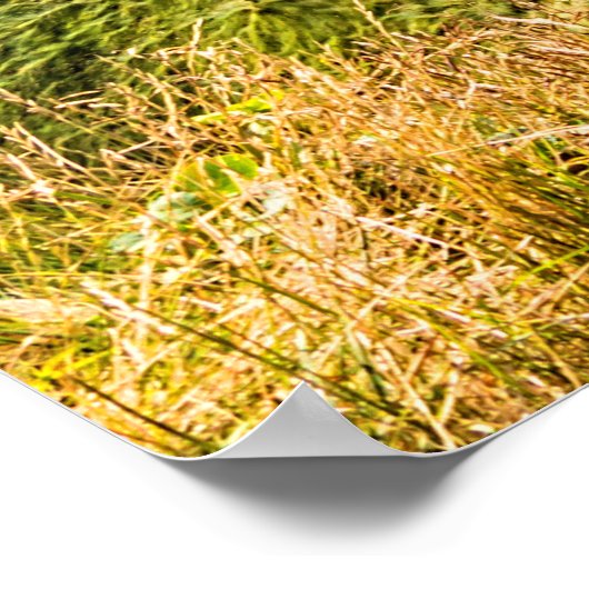 Etretat cliffs, Normandie Poster (Hoek)