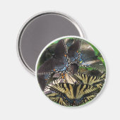 ets_yin_zazzle magneet (Voorkant / Achterkant)