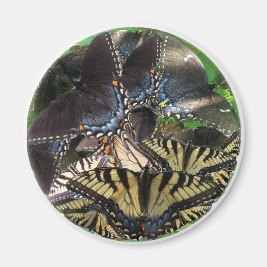 ets_yin_zazzle magneet (Voorkant)