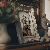 Etsen print portret van een Engelse Setter