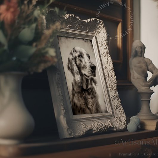 Etsen print portret van een Engelse Setter
