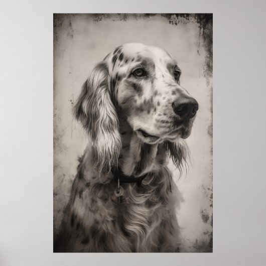 Etsen print portret van een Engelse Setter (Voorkant)