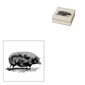 Etsen van  varkens rubberstempel (Gestempeld)