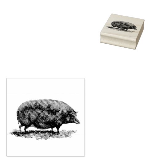 Etsen van  varkens rubberstempel (Gestempeld)