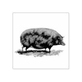 Etsen van  varkens rubberstempel (Afrduk)