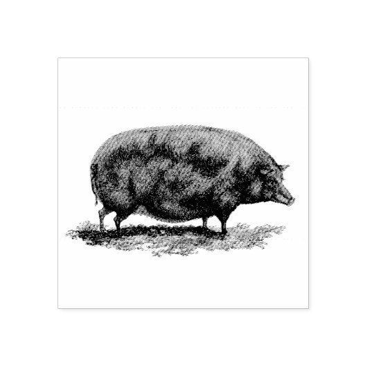 Etsen van  varkens rubberstempel (Afrduk)