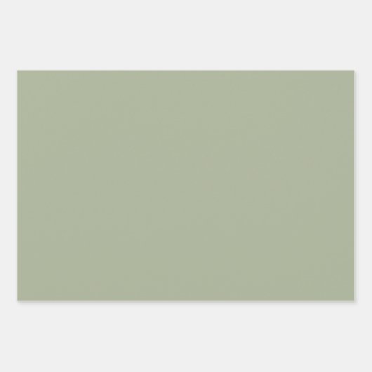 Etste bladeren botanisch patroon in salie groen inpakpapier vel (Voorkant 2)