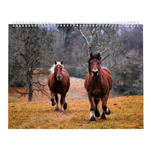 Etsy_Calender (paard) Kalender (Hoes)