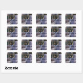 EU, Frankrijk, Chablis, lokale wijn Vierkante Sticker (Vel)