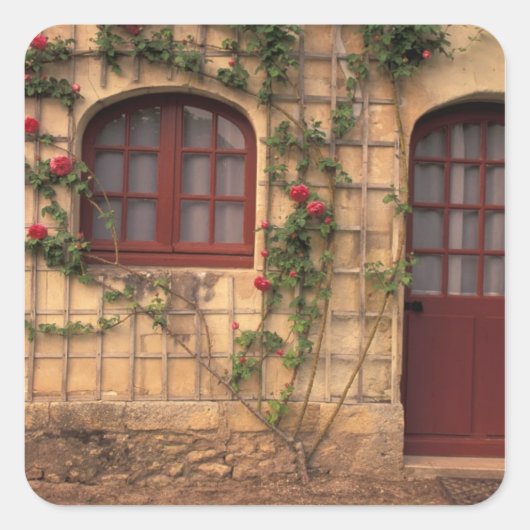 EU, Frankrijk, Loire Valley, Indre, et, Loire, Vierkante Sticker (Voorkant)