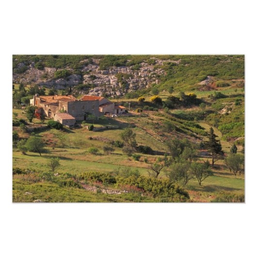 EU, Frankrijk, Provence, Bouches, du, Rhone, 9 Foto Afdruk (Voorkant)