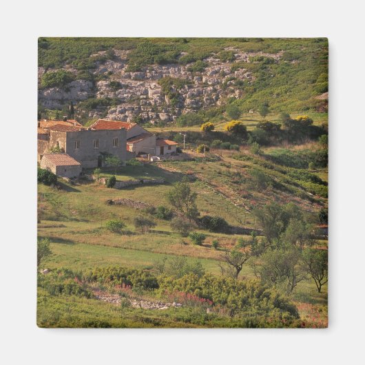 EU, Frankrijk, Provence, Bouches, du, Rhone, 9 Magneet (Voorkant)