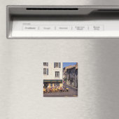 EU, Frankrijk, Provence, Bouches-du-Rhone, Arles. Magneet (Insitu (Vaatwasser))