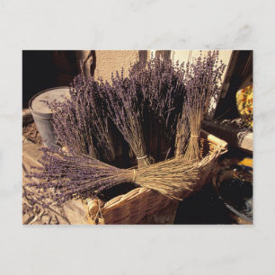 EU, Frankrijk, Provence, Bouches, du, Rhone, Les Briefkaart