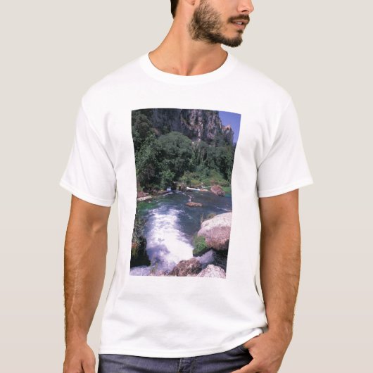 EU, Frankrijk, Provence, Frontaine de Vaucluse T-shirt (Voorkant)