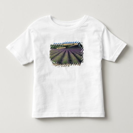 EU, Frankrijk, Provence, Lavendelvelden 2 Kinder Shirts (Voorkant)