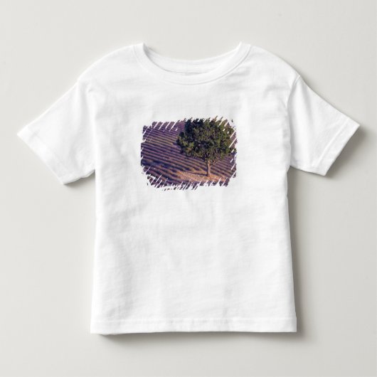 EU, Frankrijk, Provence, Lavendelvelden Kinder Shirts (Voorkant)