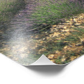 EU, Frankrijk, Provence, Lavender-velden Foto Afdruk (Hoek)