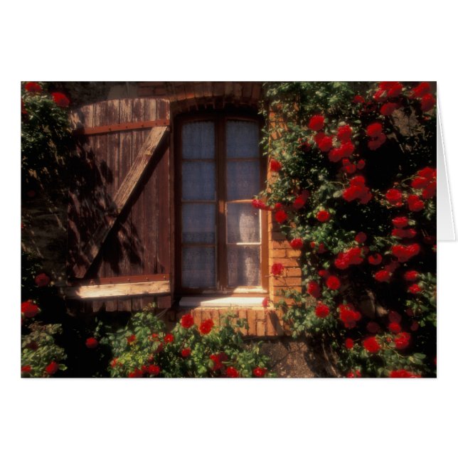 EU, Frankrijk, Provence, Vaucluse, Apt. Huis (Voorkant Horizontaal)
