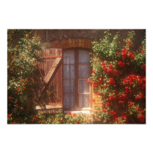 EU, Frankrijk, Provence, Vaucluse, Apt. Huis 2 Foto Afdruk
