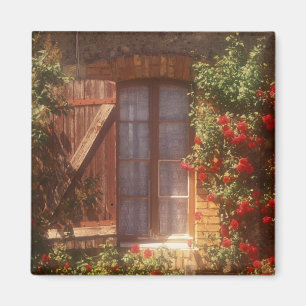 EU, Frankrijk, Provence, Vaucluse, Apt. Huis 2 Magneet