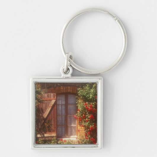 EU, Frankrijk, Provence, Vaucluse, Apt. Huis 2 Sleutelhanger (Voorkant)