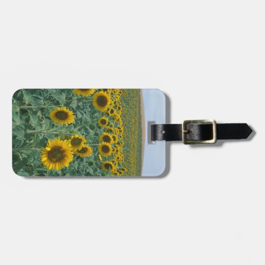 EU, Frankrijk, Provence, Zonnebloemveld Bagagelabel (Voorkant horizontaal)