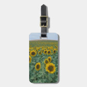 EU, Frankrijk, Provence, Zonnebloemveld Bagagelabel (Voorkant verticaal)
