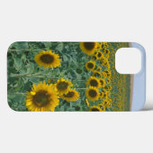 EU, Frankrijk, Provence, Zonnebloemveld Case-Mate iPhone Case (Achterkant (horizontaal))