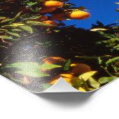 EU, Griekenland. Grieks-orthodoxe kerk Foto Afdruk (Hoek)