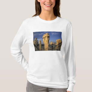 EU, Spanje, Catalonië, Barcelona. Antonio Gaudi's T-shirt