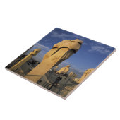 EU, Spanje, Catalonië, Barcelona. Antonio Gaudi's Tegeltje (Zijkant)