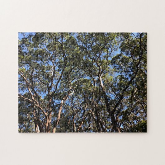 eucalypen legpuzzel (Horizontaal)