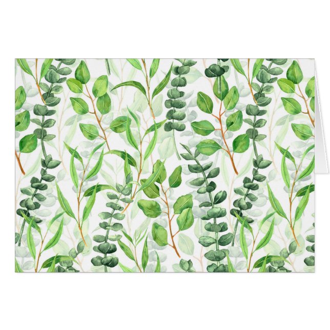 Eucalyptus (Voorkant Horizontaal)