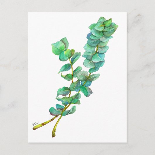Eucalyptus 01 briefkaart (Voorkant)