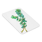 Eucalyptus 01 magneet (Rechterzijde)