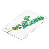 Eucalyptus 01 magneet (Linkerzijde)