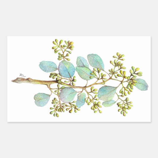 Eucalyptus 01 zaad rechthoekige sticker (Voorkant)