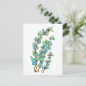 Eucalyptus 02 briefkaart (Staand voorkant)