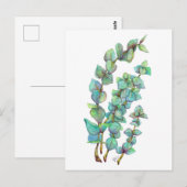 Eucalyptus 02 briefkaart (Voorkant / Achterkant)