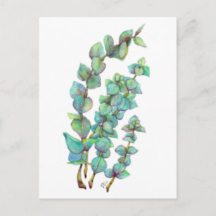 Eucalyptus 02 briefkaart