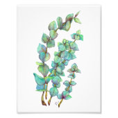 Eucalyptus 02 foto afdruk (Voorkant)