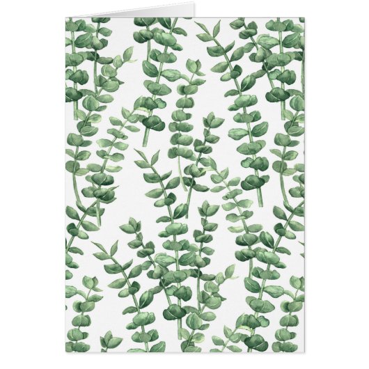 Eucalyptus 1 (Voorkant)