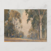 Eucalyptus (1922) - Fijne Waterverf Botanisch Briefkaart (Voorkant)