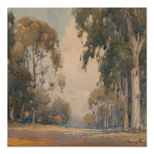 Eucalyptus (1922) - Fijne Waterverf Botanisch Perfect Poster (Voorkant)