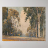 Eucalyptus (1922) - Fijne Waterverf Botanisch Poster (Voorkant)