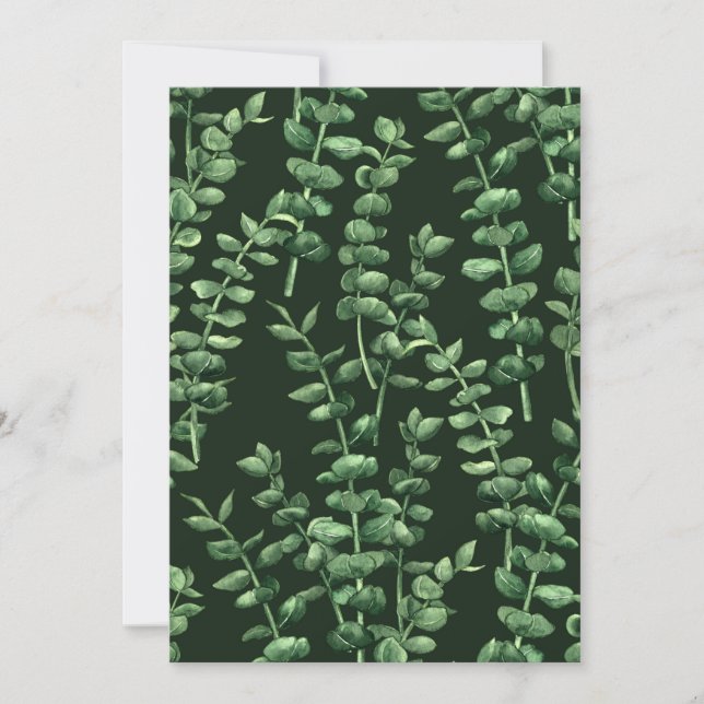 Eucalyptus 2 (Voorkant)